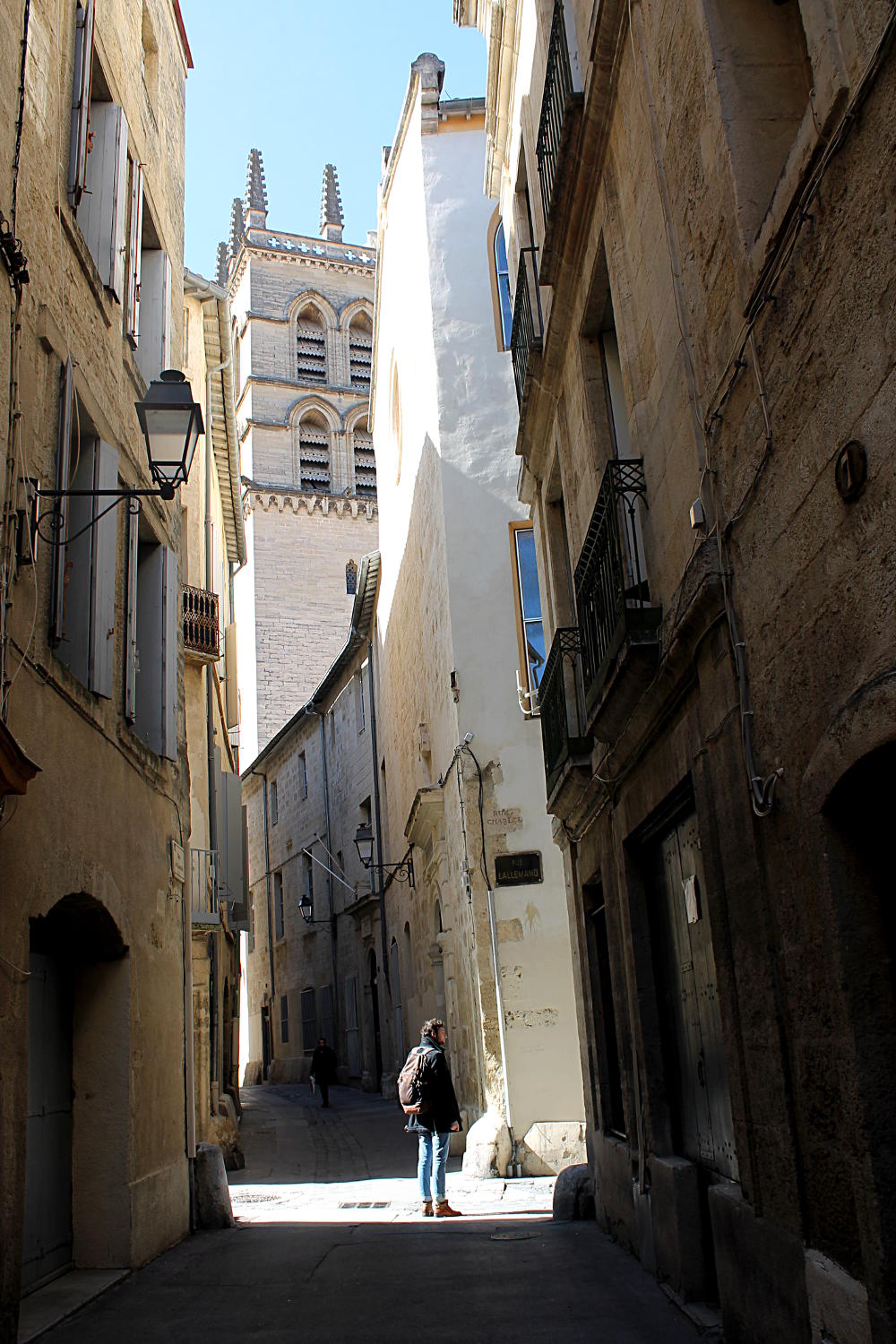 Rue de Candolle, vue sur la cathédrale Saint-Pierre - Montpellier