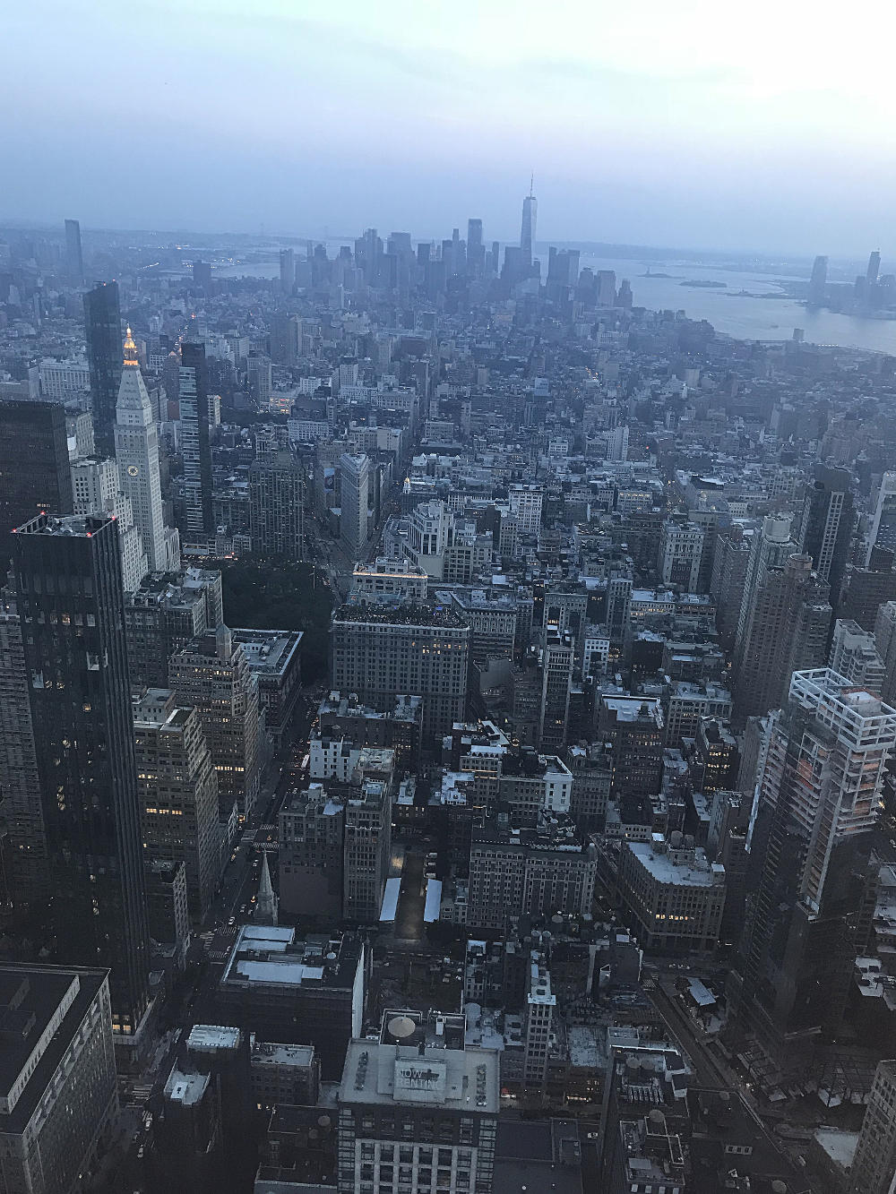 Vue sur New York depuis l'Empire State Buiding