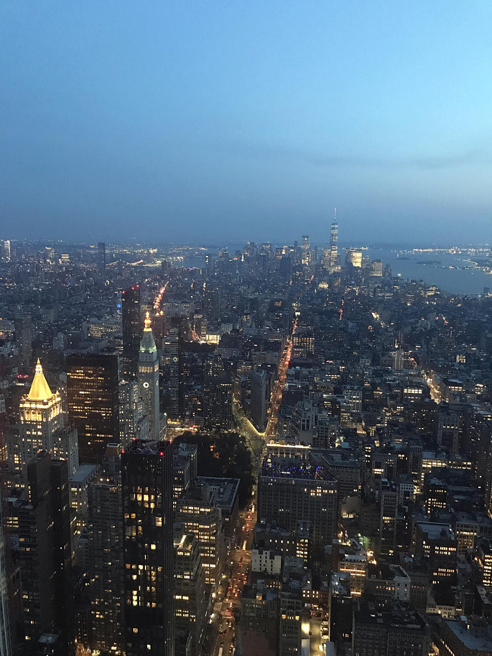 Vue sur New York depuis l'Empire State Buiding