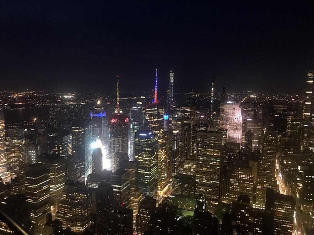 Vue sur New York depuis l'Empire State Buiding