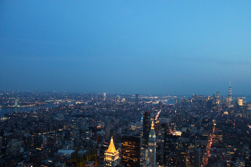 Vue sur New York depuis l'Empire State Buiding