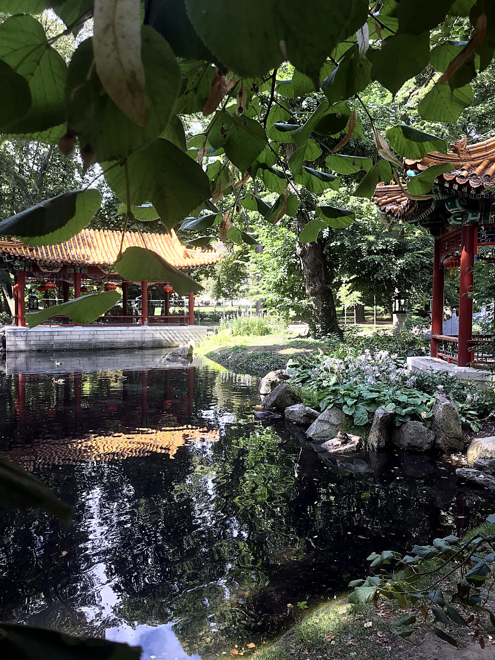 Parc Lazienki - Varsovie - Pologne