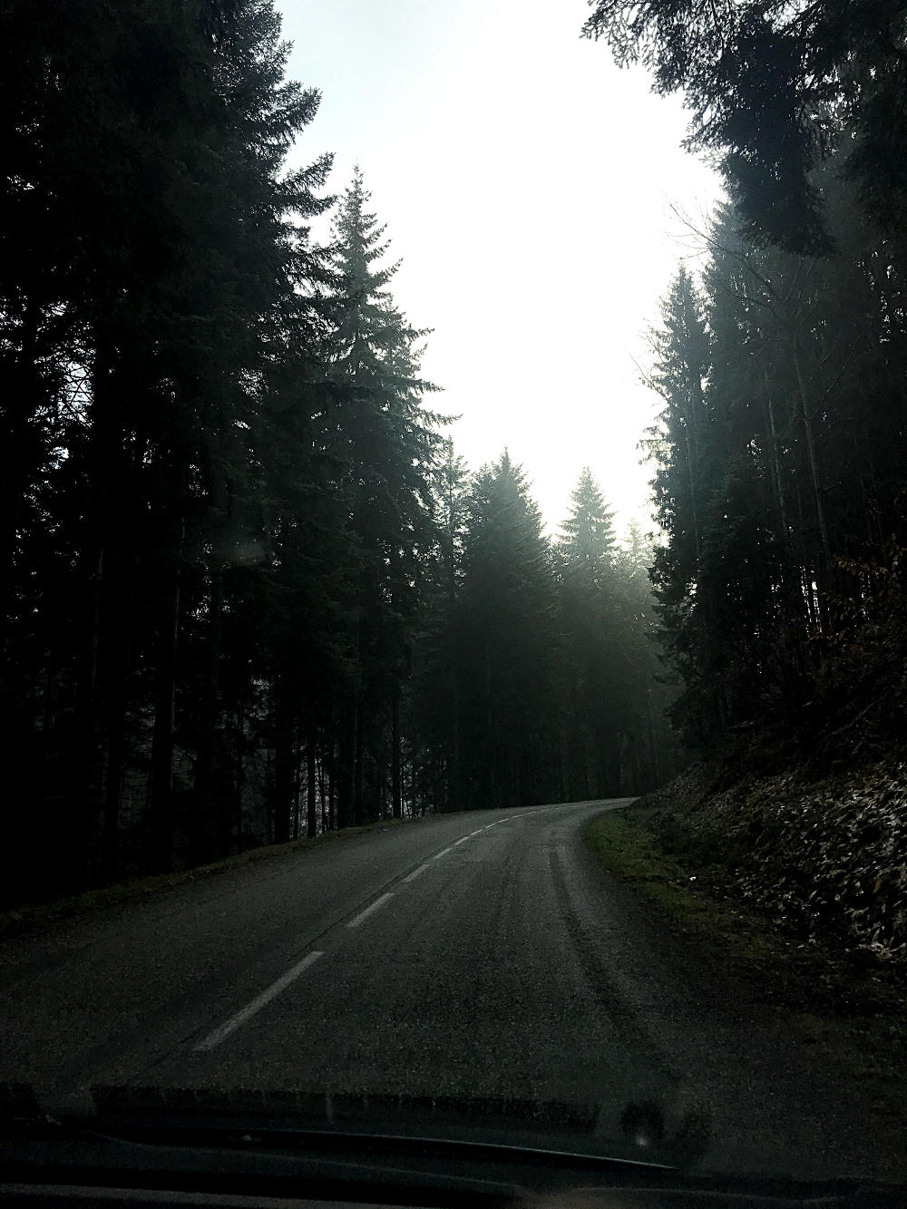 Route vers le Mont Saint-Odile - Alsace