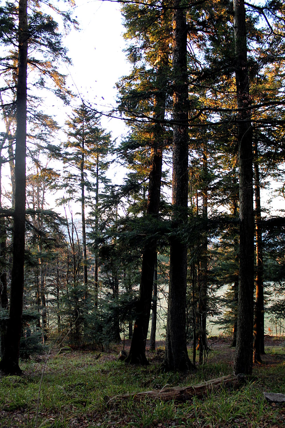 Mont Saint-Odile - Alsace