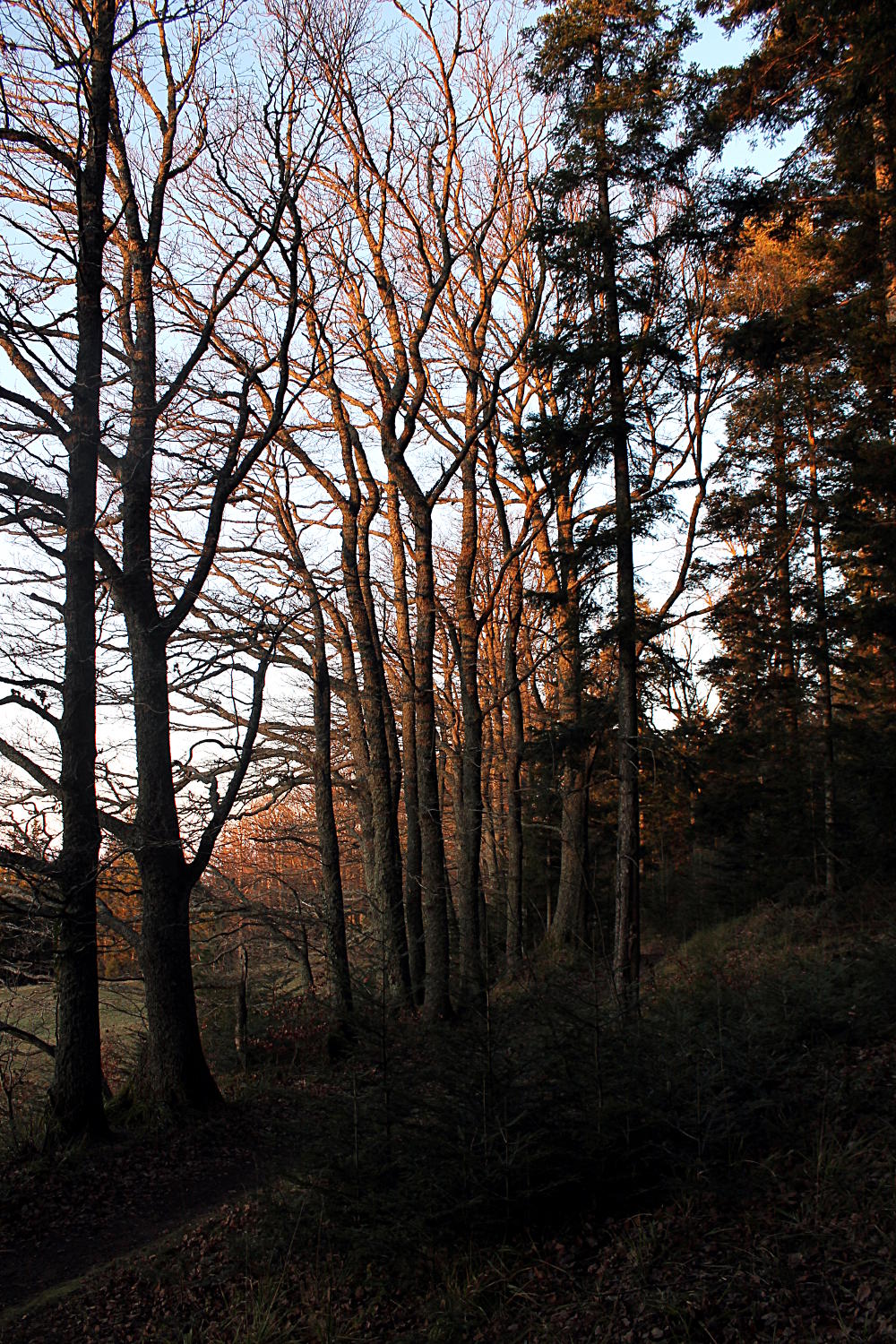 Mont Saint-Odile - Alsace
