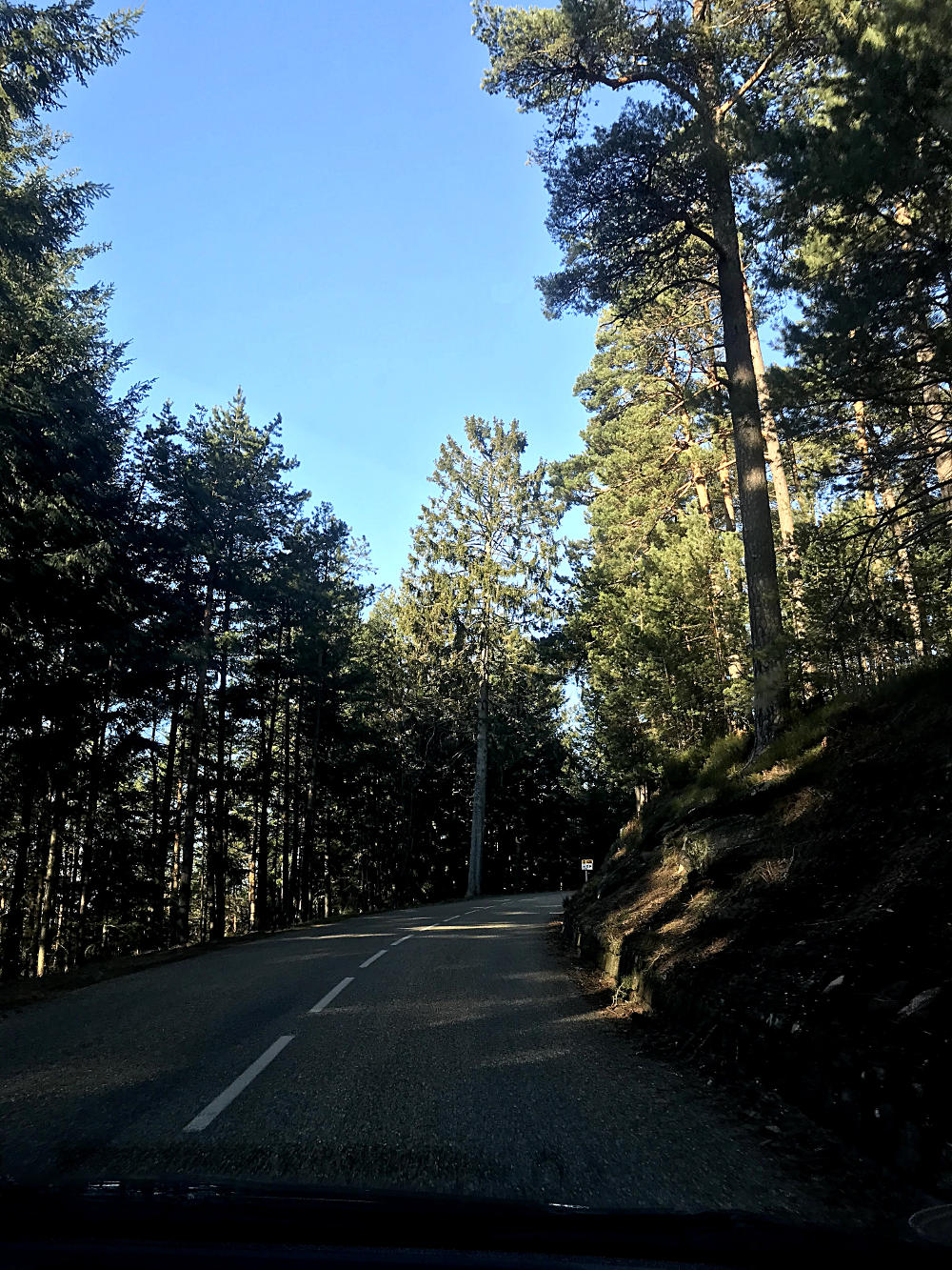 Route vers le Mont Saint-Odile - Alsace