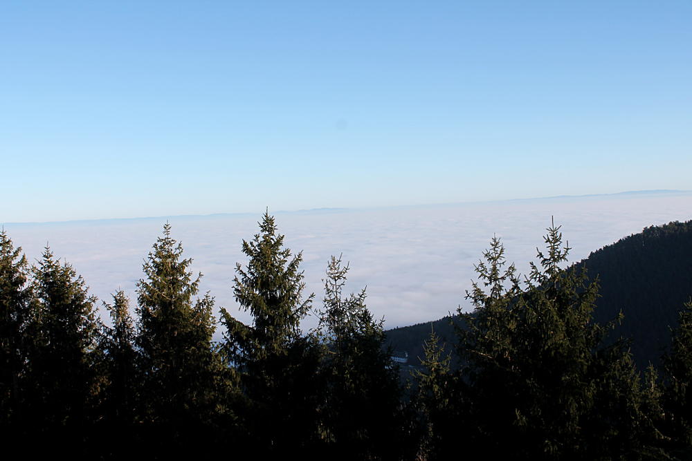 Mont-Saint-Odile - Alsace