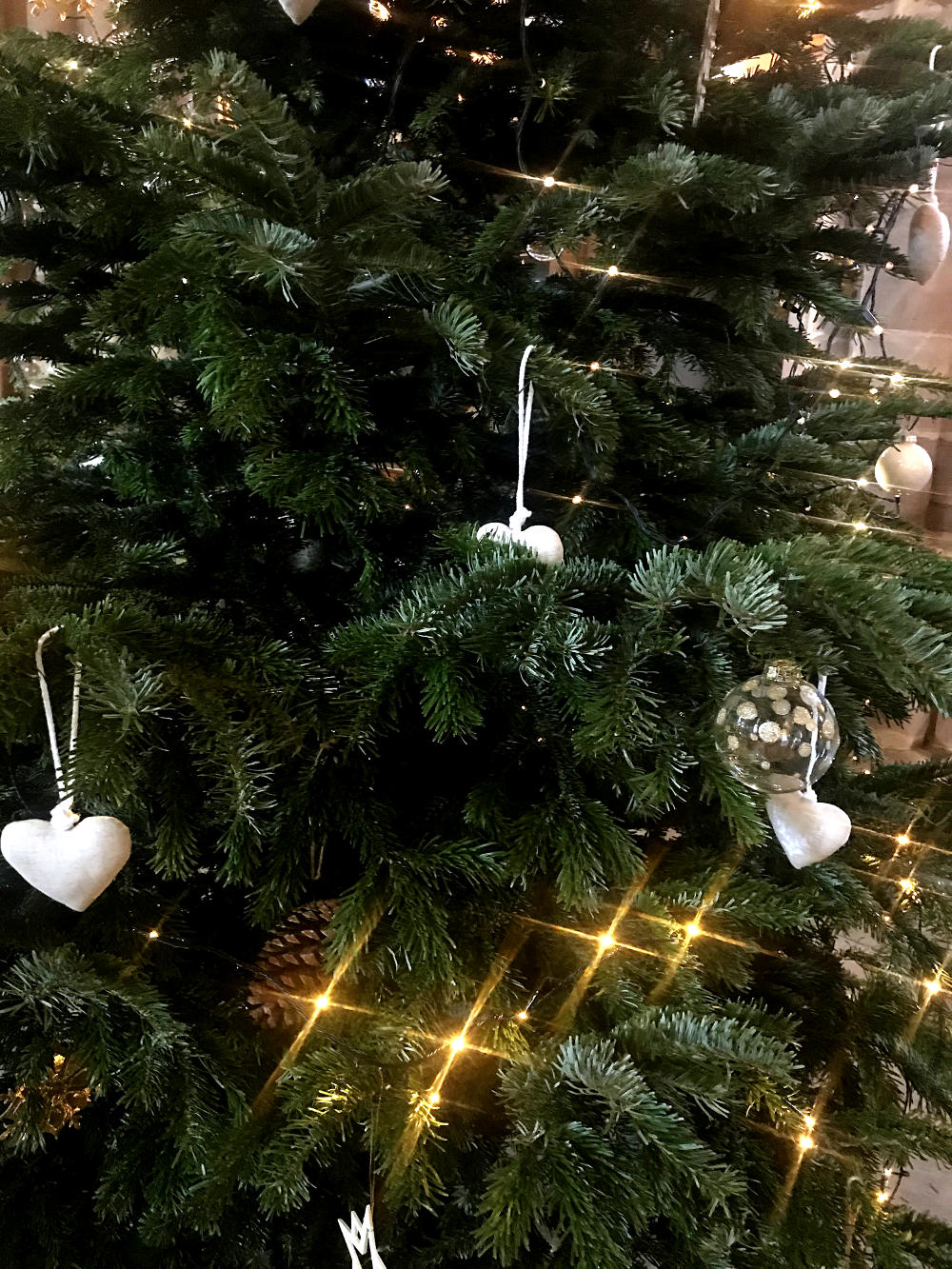 Eglise Saint-Thomas de Strasbourg - Alsace