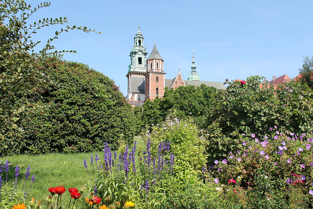 Cathédrale du Wawel - Cracovie - Pologne