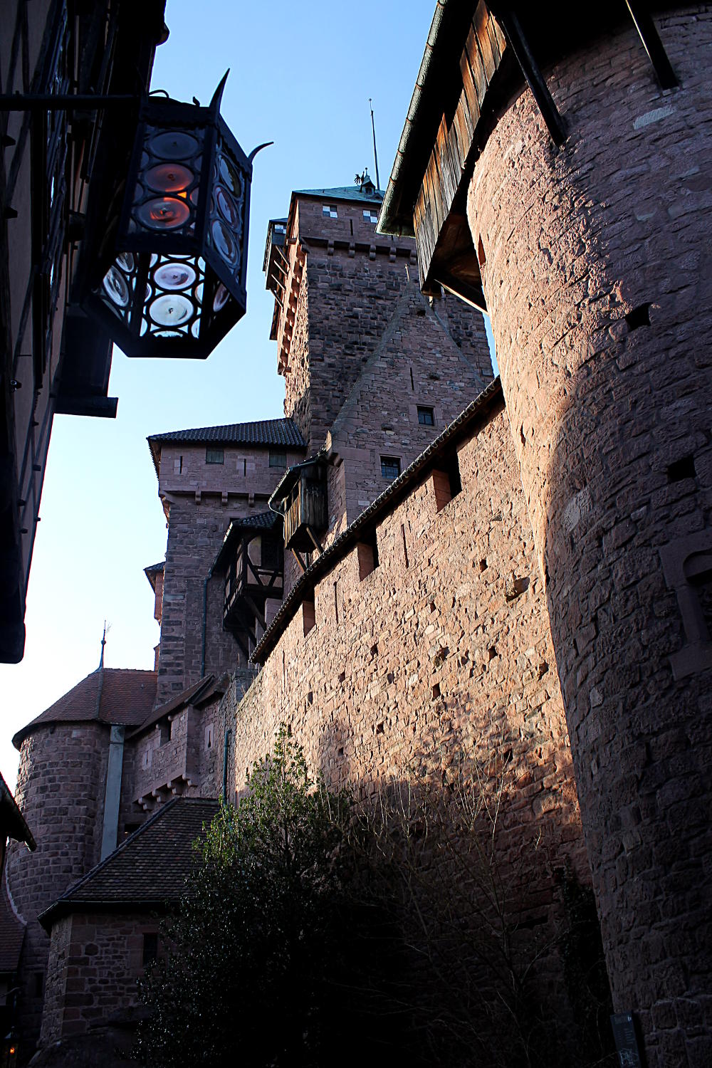 Château du Haut-Koenigsbourg