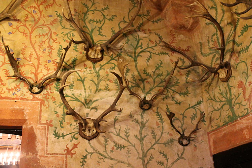 Château du Haut-Koenigsbourg