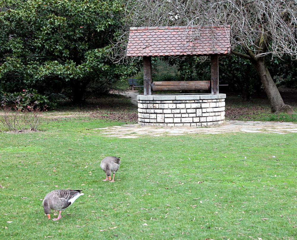 Parc de la Tête d'Or de Lyon