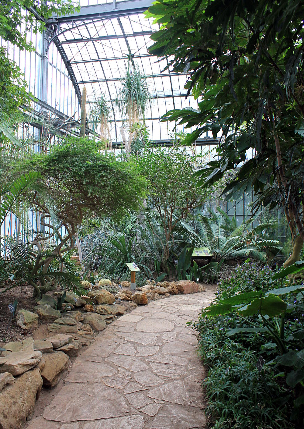 Serre du Parc de la Tête d'Or de Lyon