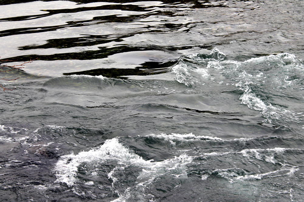 Gorges de l'Hérault à Saint-Etienne d'Issensac - Hérault
