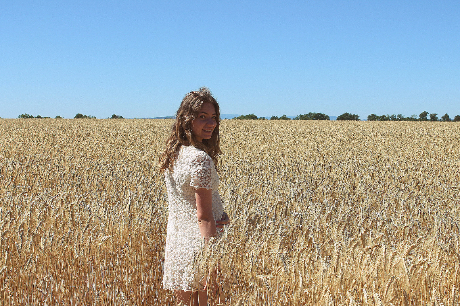 Lola dans un champ de blé en Provence