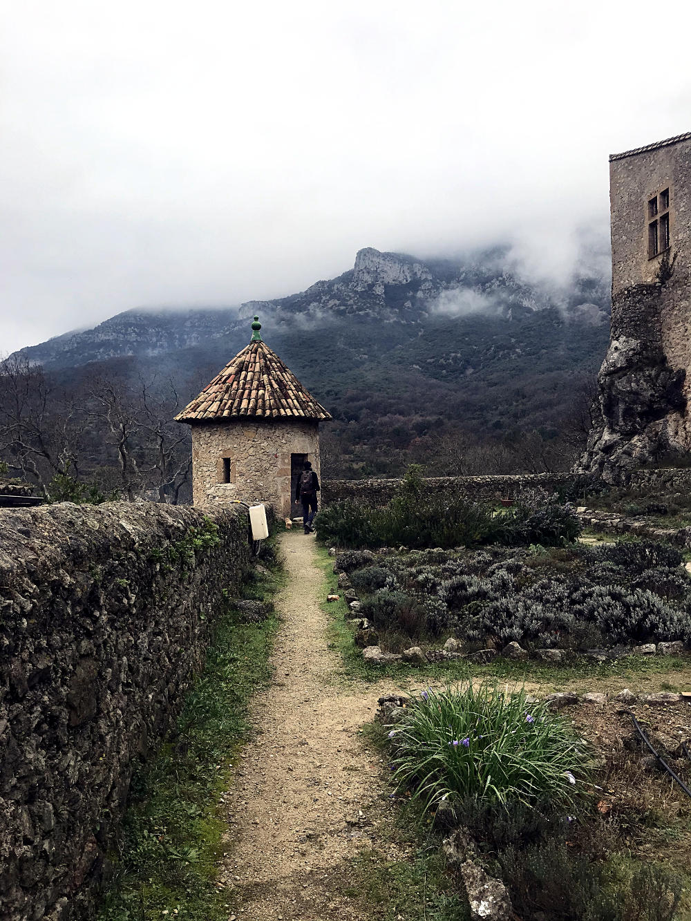 Château de Saint-Jean-de-Buèges - Hérault