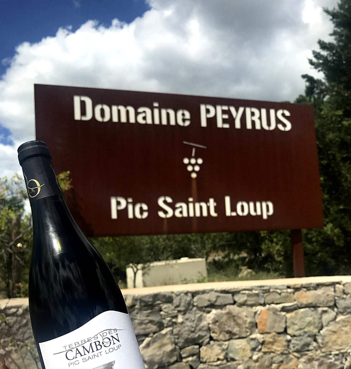 Domaine Peyrus au Pic Saint Loup - Hérault