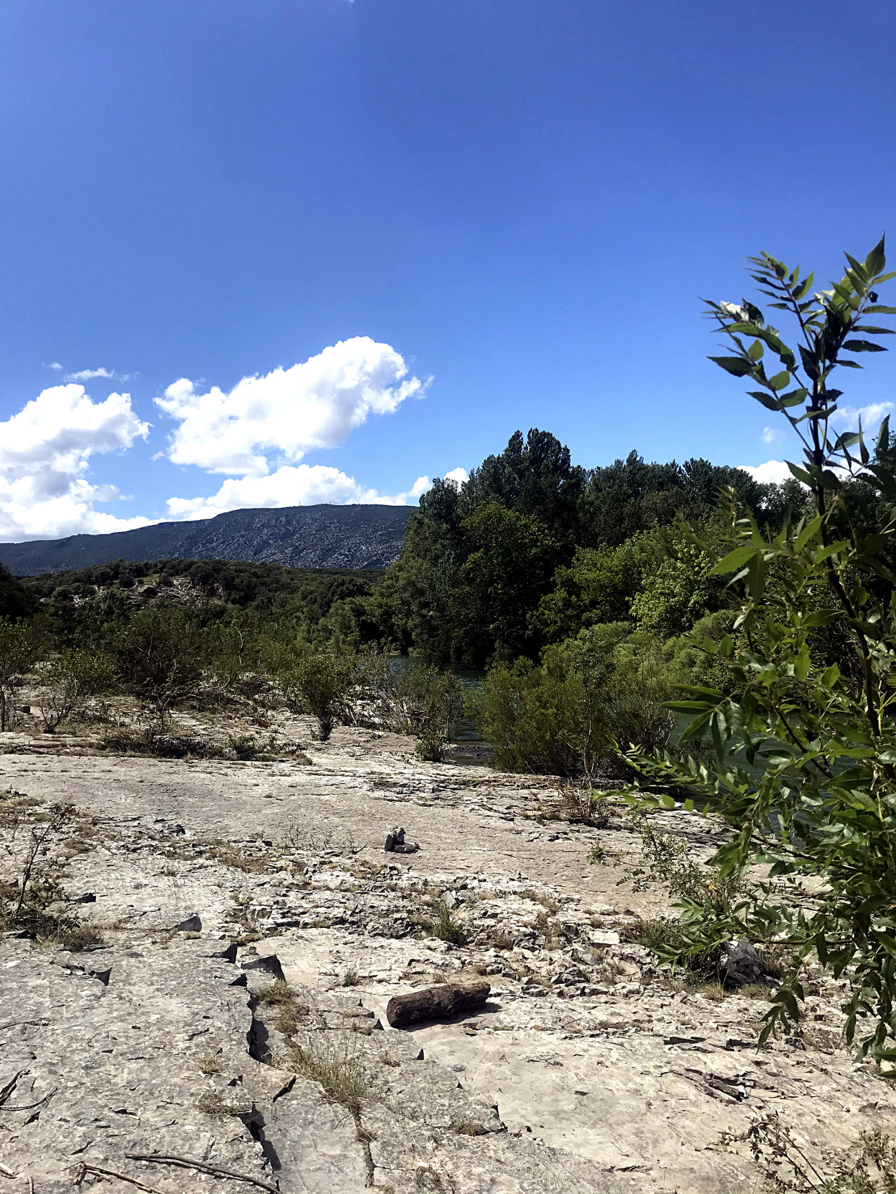 Gorges de l'Hérault à Issensac