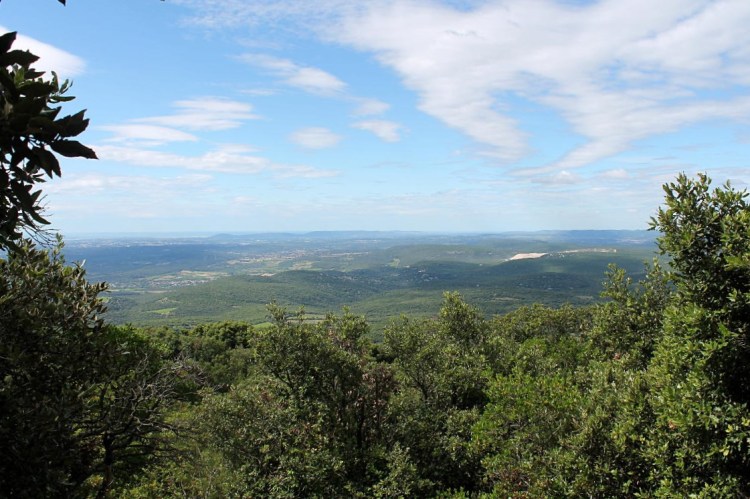 Paysages depuis le Pic Saint-Loup