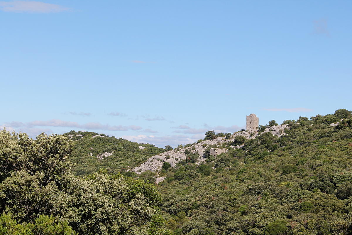Tour de Cazevieille au Pic Saint-Loup