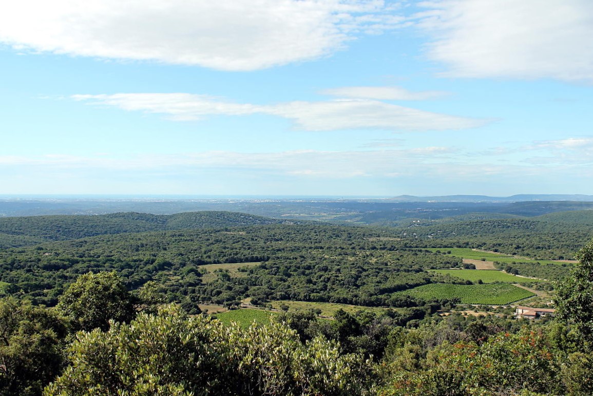 Paysages depuis le Pic Saint-Loup