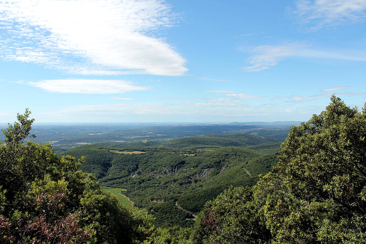 Paysages depuis le Pic Saint-Loup