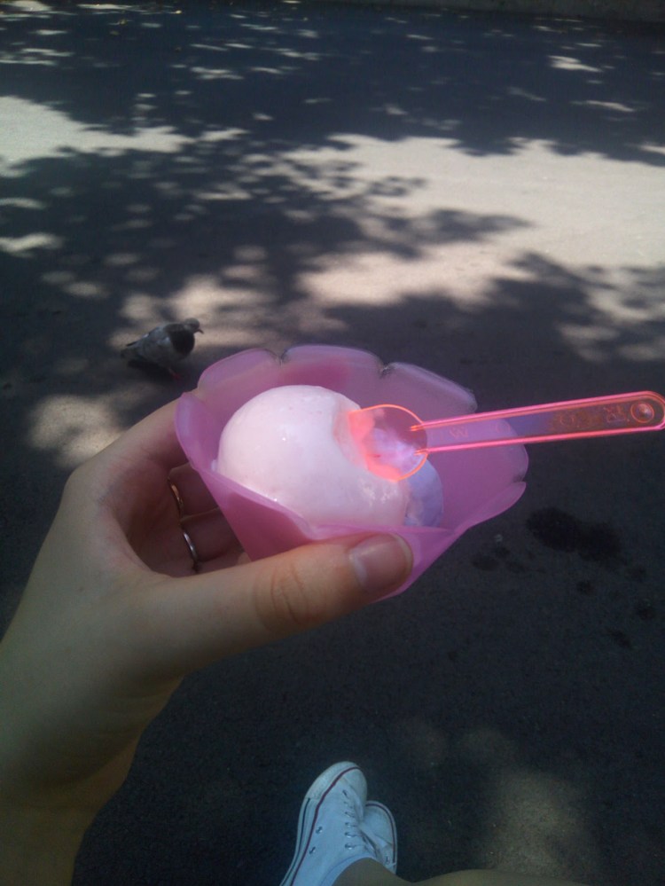 Glace Angel'Ice rose et violette à Grasse