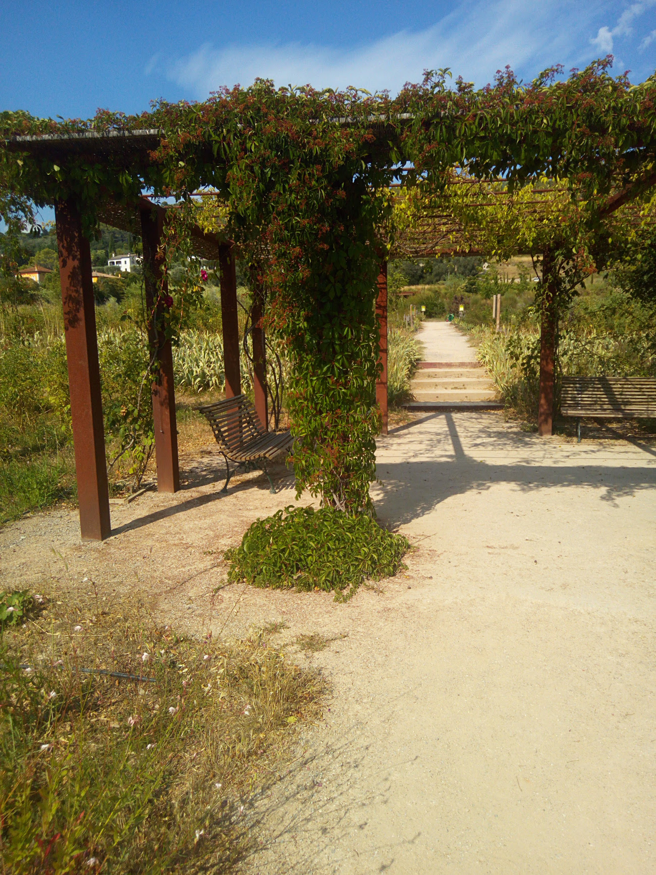 Jardins du Musée International de la Parfumerie à Grasse