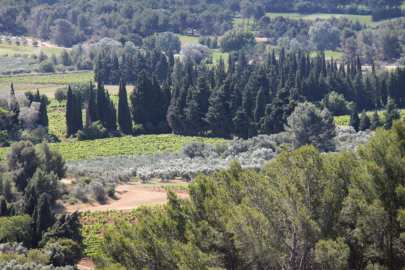 Paysage aux Baux-de-Provence