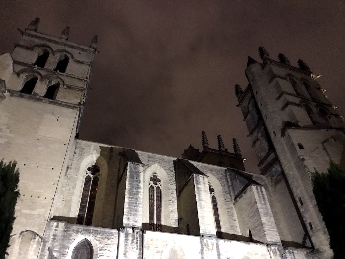 Nuit de la Lecture à la Cathédrale Saint-Pierre de Montpellier
