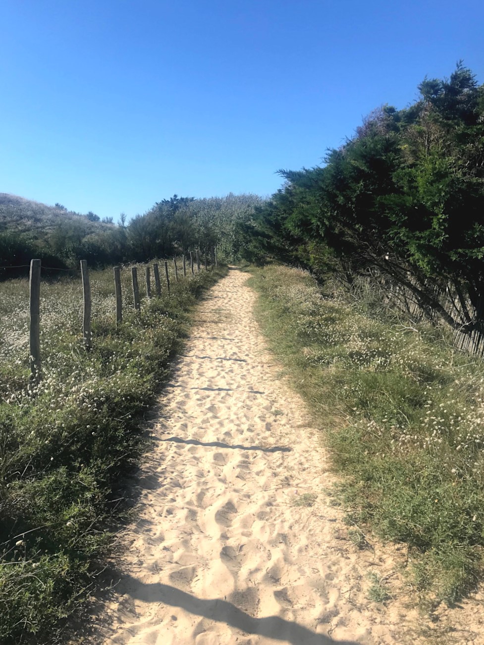 Place de Gros Joncs sur l'Île de Ré