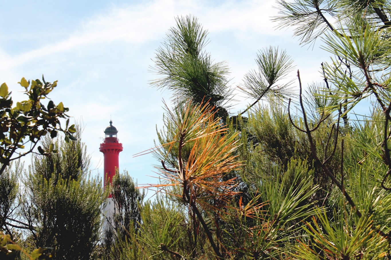 Phare de La Coubre - Côte Sauvage