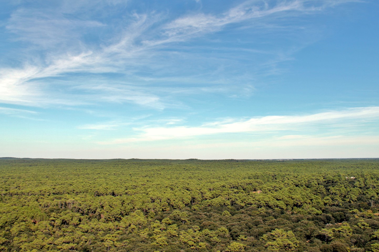 Vue depuis le Phare de la Coubre