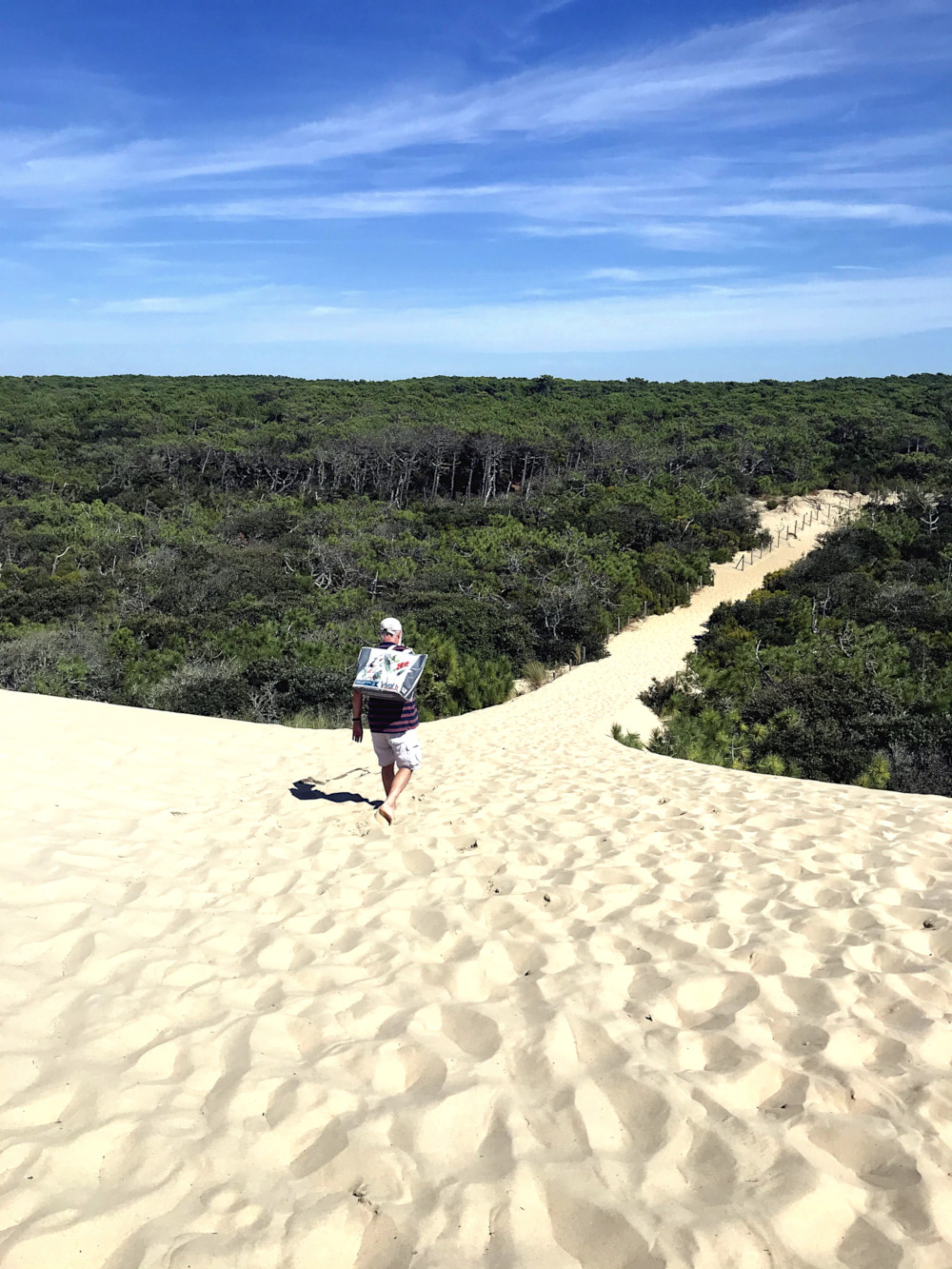 Plage de la Coubre - Côte Sauvage