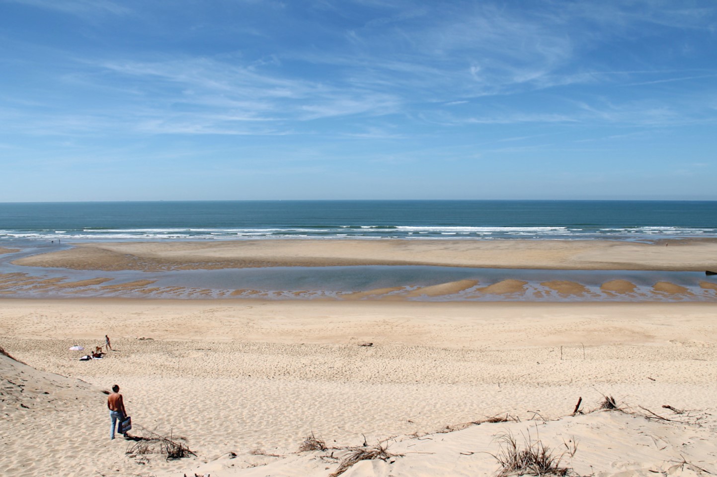 Plage de La Coubre - Côte Sauvage