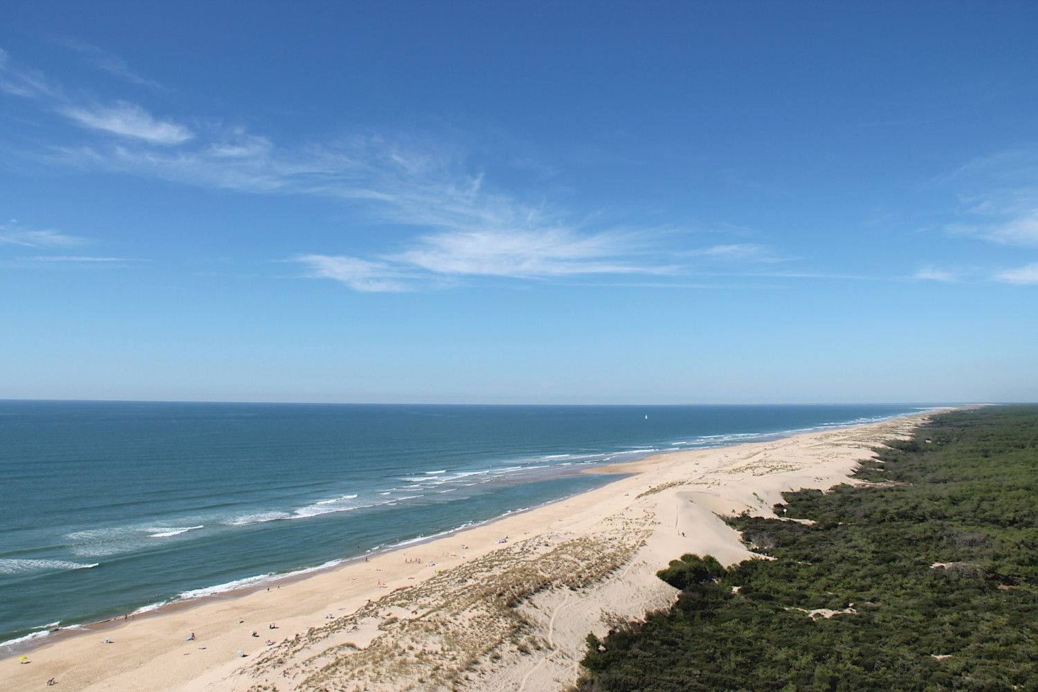 Vue depuis le Phare de la Coubre