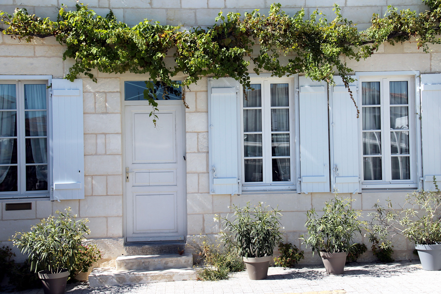 La Flotte sur l'Île de Ré