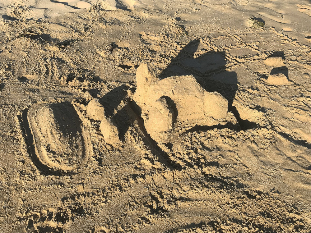 Plage de Bonne Anse à La Palmyre