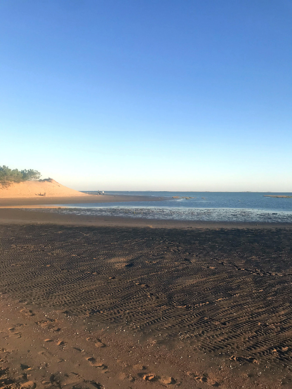 Plage de Bonne Anse à La Palmyre