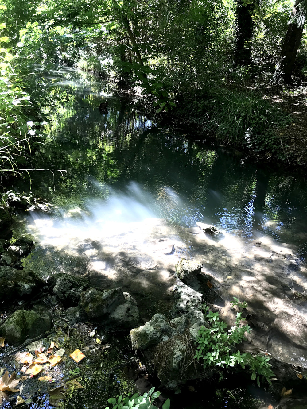 Parc Charruyer à La Rochelle