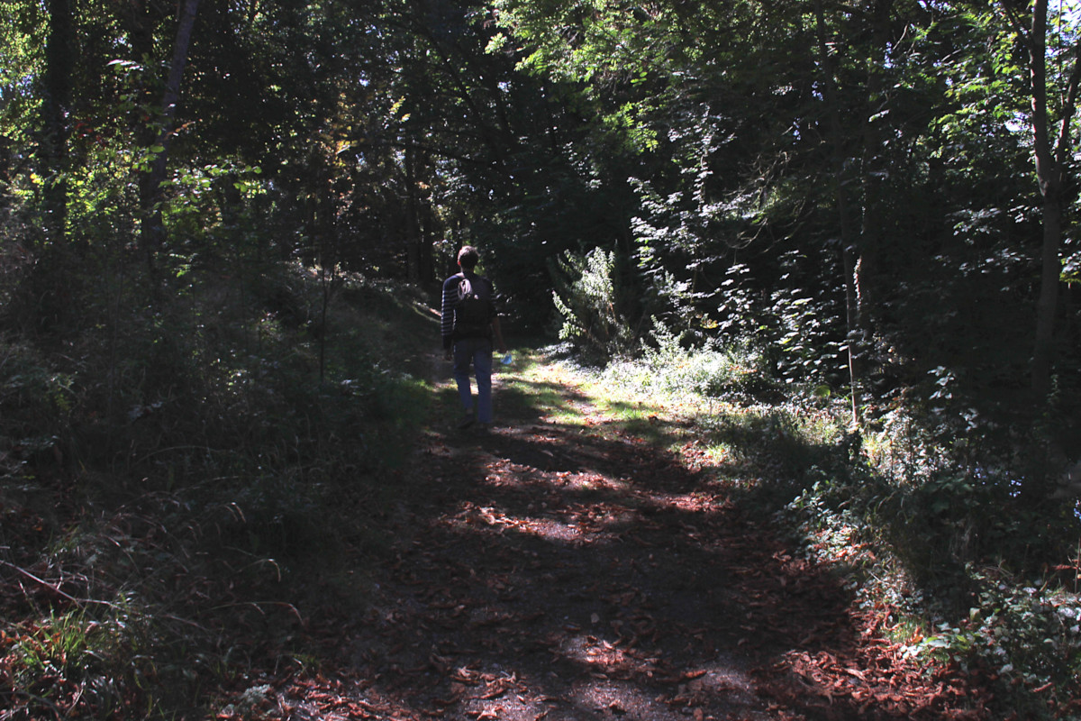 Parc Charruyer à La Rochelle