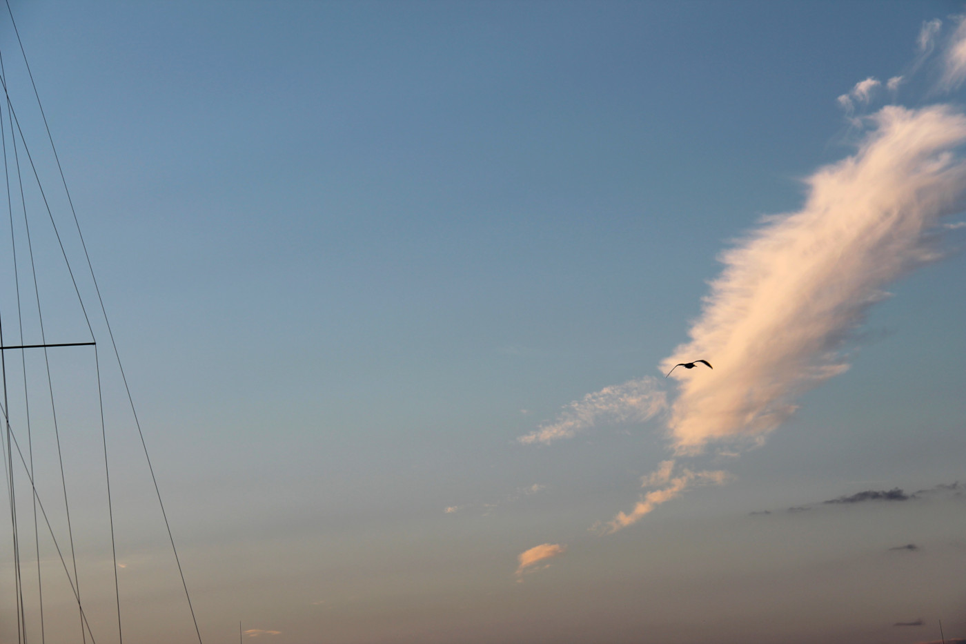 Port des Minimes à La Rochelle