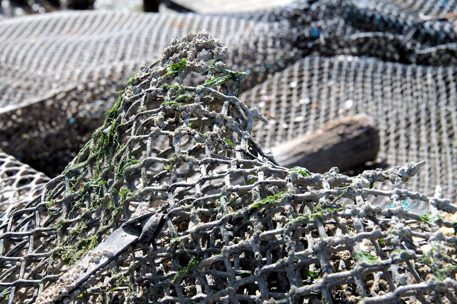 Canal de la Grève à La Tremblade