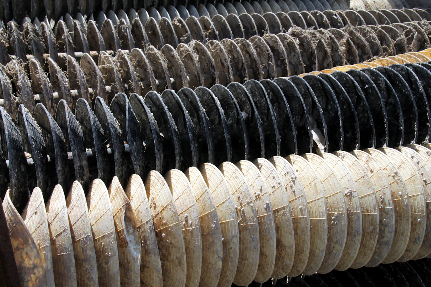 Canal de la Grève à La Tremblade