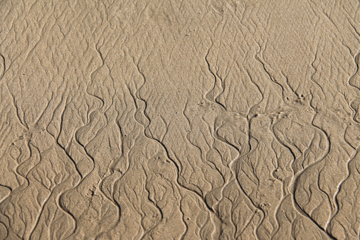 Saint-Palais-sur-Mer