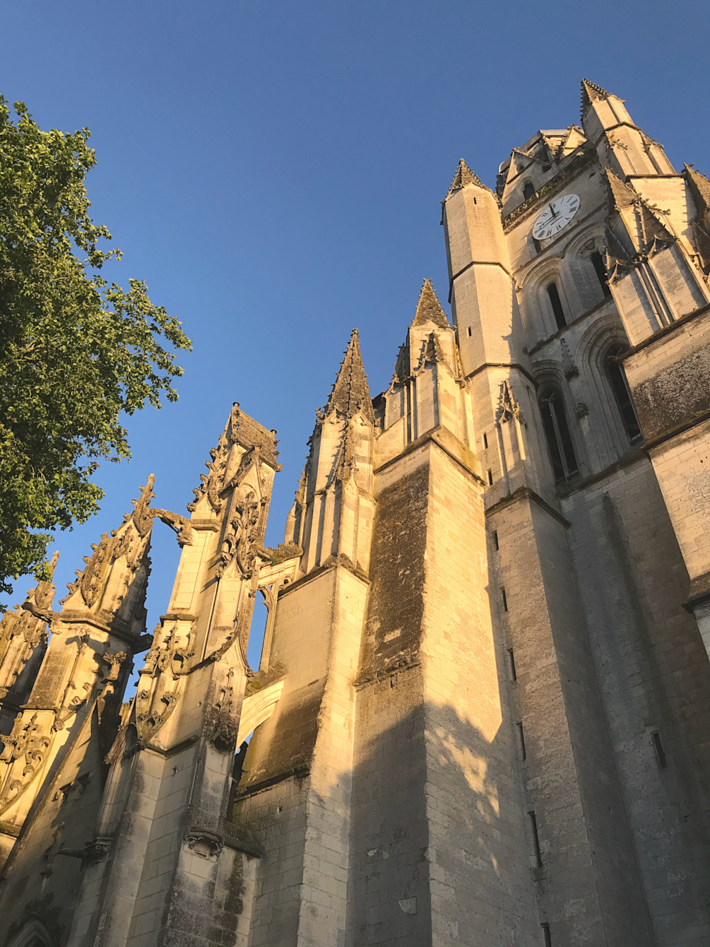 Cathédrale Saint-Pierre de Saintes
