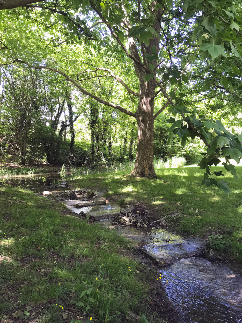 Parc des arènes à Saintes