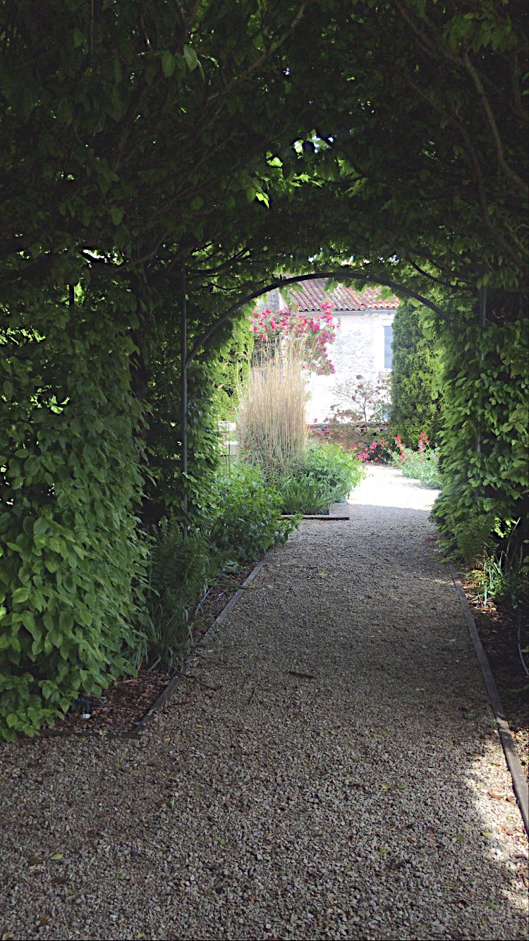 Jardin de la médiathèque de Saintes