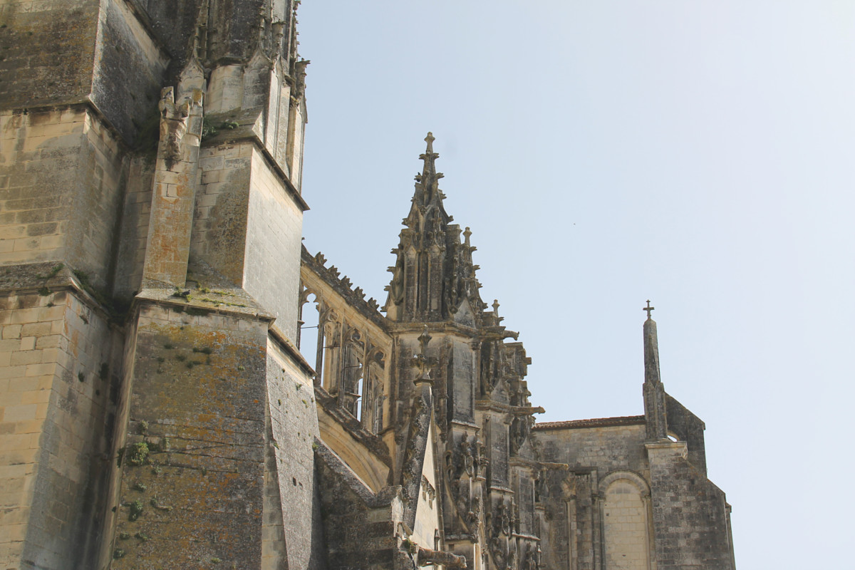 Cathédrale Saint-Pierre de Saintes