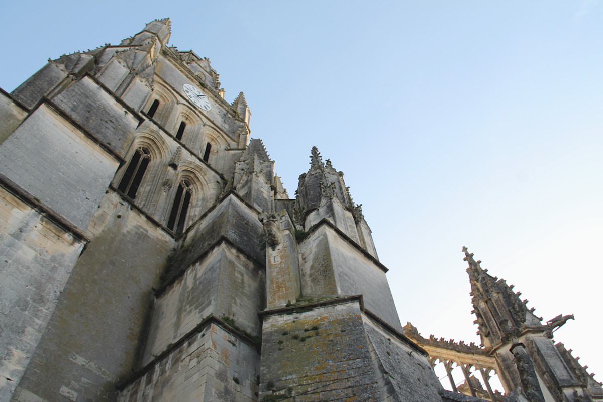 Cathédrale Saint-Pierre de Saintes